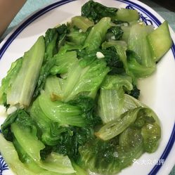 广西芥菜最新价格｜广西芥菜现价速览