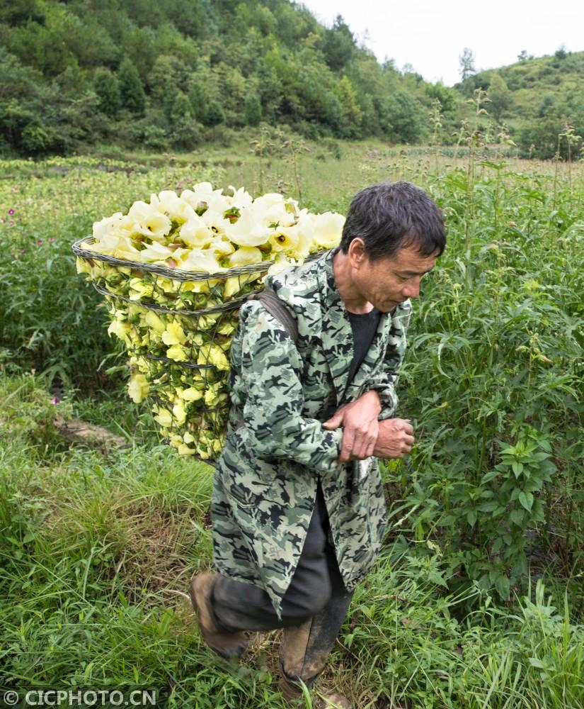 黔西县人才招聘资讯速递：最新招聘动态一览